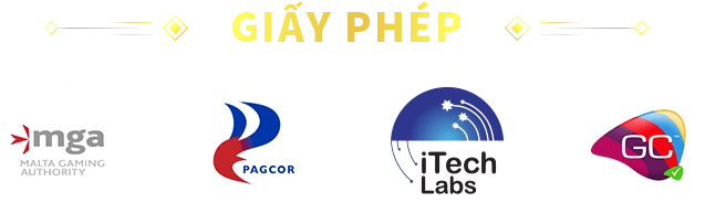 giay-phep