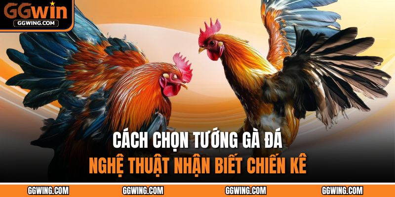 Cách Chọn Tướng Gà Đá – Nghệ Thuật Nhận Biết Chiến Kê 1 Cách chọn tướng gà đá