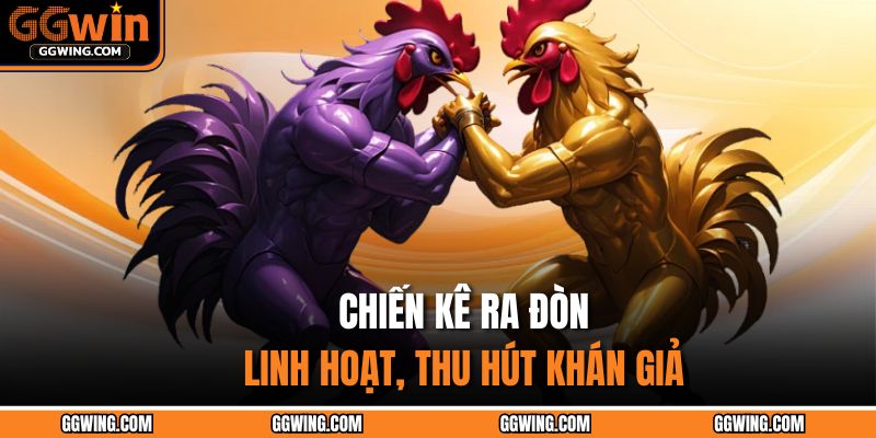 Đá Gà Cựa Dao - Cuộc Đọ Sức Của Những Chiến Kê Hấp Dẫn 4 Chiến kê ra đòn linh hoạt, thu hút khán giả