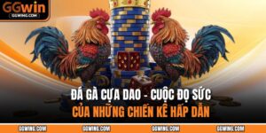 Đá Gà Cựa Dao - Cuộc Đọ Sức Của Những Chiến Kê Hấp Dẫn 10 Đá gà cựa dao