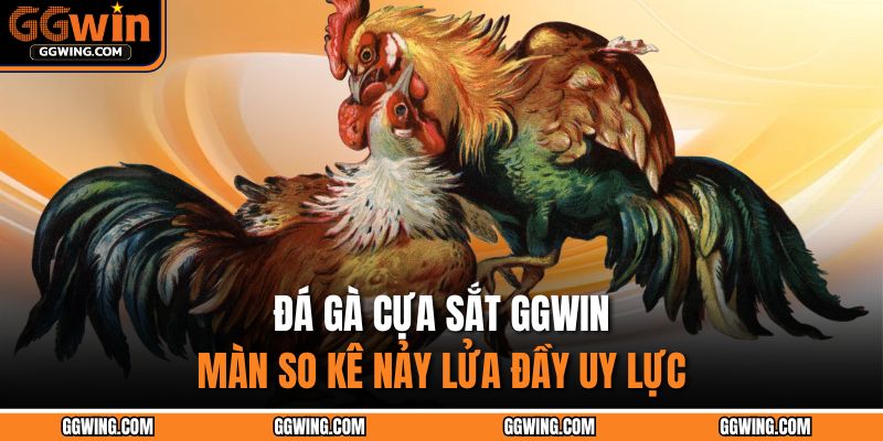 Đá gà cựa sắt GGWIN