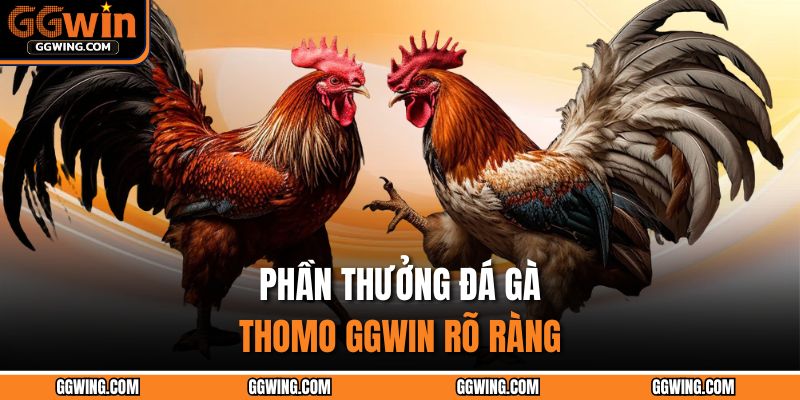 Đá Gà Thomo GGWIN - Đấu Trường Của Các Chiến Kê Gay Cấn 3 Phần thưởng đá gà Thomo GGWIN rõ ràng
