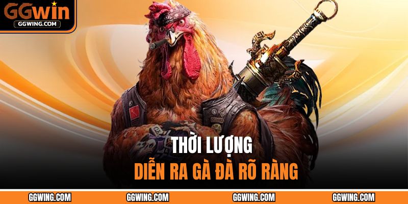 Đá Gà Cựa Dao - Cuộc Đọ Sức Của Những Chiến Kê Hấp Dẫn 3 Thời lượng diễn ra gà đà rõ ràng